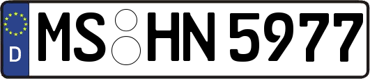 MS-HN5977
