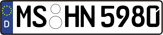MS-HN5980