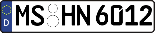 MS-HN6012