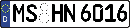 MS-HN6016