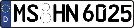 MS-HN6025