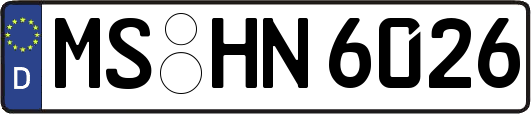 MS-HN6026