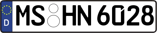 MS-HN6028