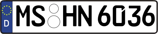 MS-HN6036
