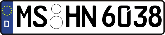 MS-HN6038