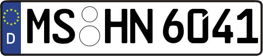 MS-HN6041