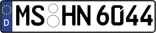 MS-HN6044