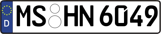 MS-HN6049