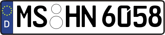 MS-HN6058