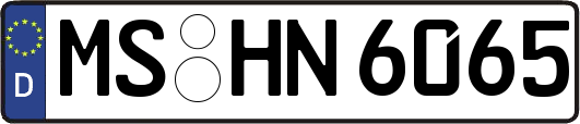 MS-HN6065