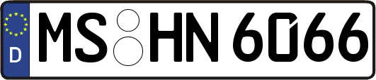 MS-HN6066