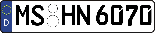 MS-HN6070