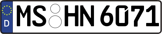 MS-HN6071