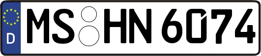 MS-HN6074
