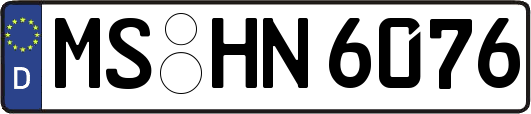 MS-HN6076