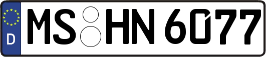 MS-HN6077