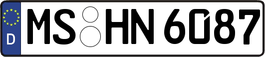 MS-HN6087