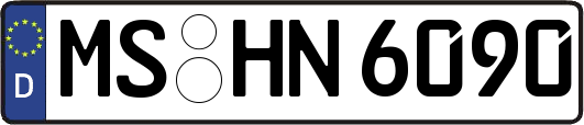 MS-HN6090