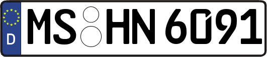 MS-HN6091