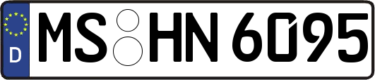 MS-HN6095