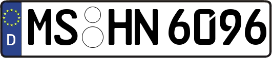 MS-HN6096