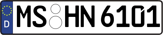 MS-HN6101