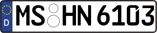 MS-HN6103