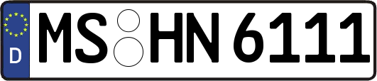 MS-HN6111