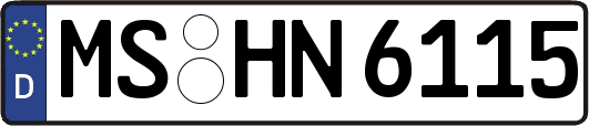 MS-HN6115