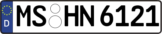 MS-HN6121