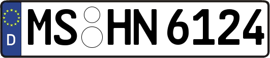 MS-HN6124