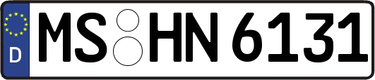 MS-HN6131