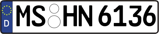 MS-HN6136