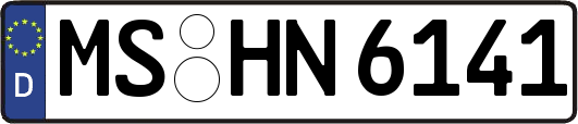 MS-HN6141