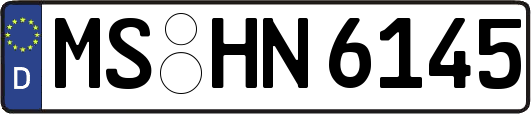 MS-HN6145