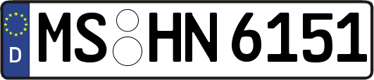 MS-HN6151