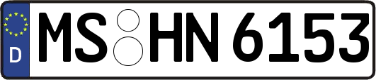 MS-HN6153