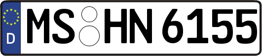 MS-HN6155