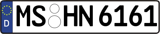 MS-HN6161