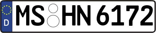 MS-HN6172
