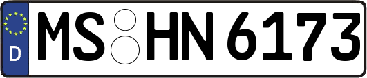 MS-HN6173