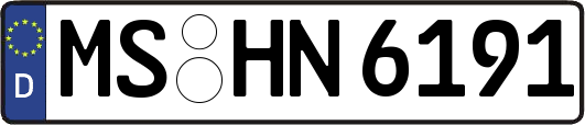 MS-HN6191