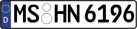 MS-HN6196