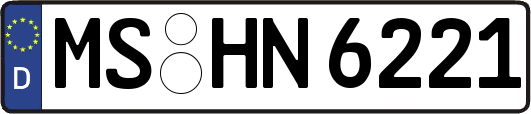 MS-HN6221