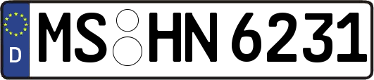 MS-HN6231