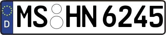 MS-HN6245