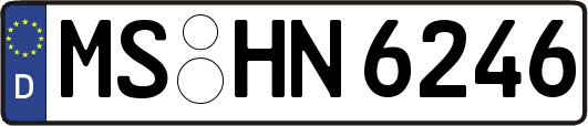 MS-HN6246