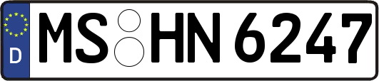 MS-HN6247