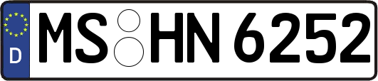MS-HN6252