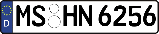 MS-HN6256